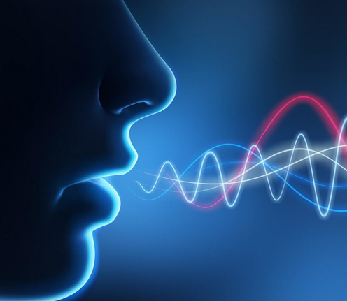 Sözlük tanımına göre hangisi bir sesin adı değildir?