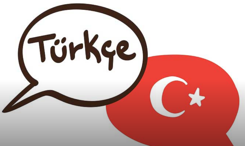 Türkçe hangi dil grubuna girmektedir?