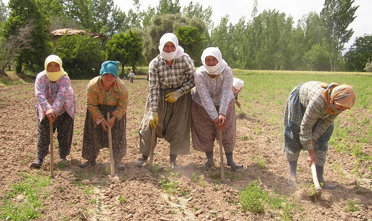 Köylülerin el birliği ile köyün işini birlikte yapmalarına ne ad verilir?