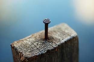 Genellikle hangisinden bahsedilirken "çivi gibi" benzetmesi yapılır?