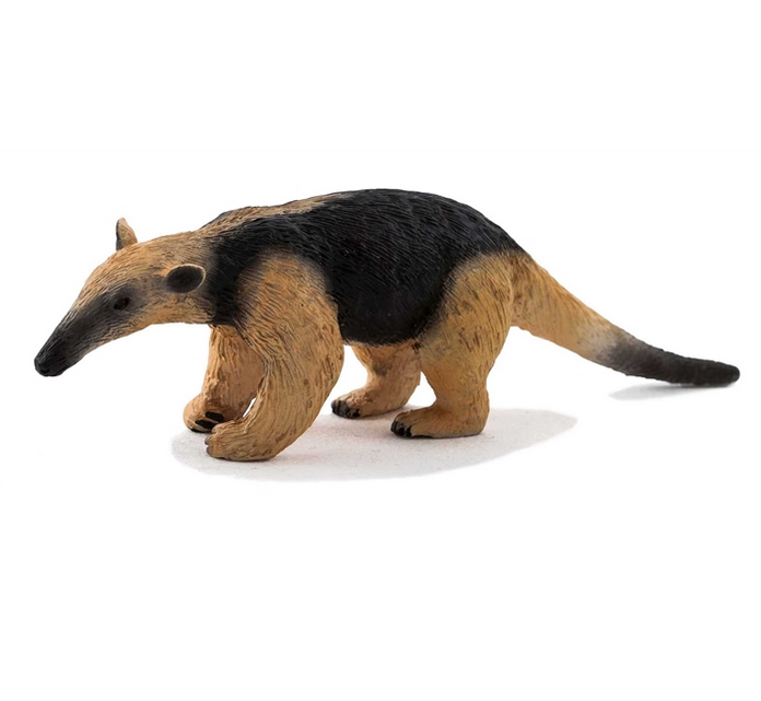 Karıncayiyenler günde kaç bin karınca yerler?