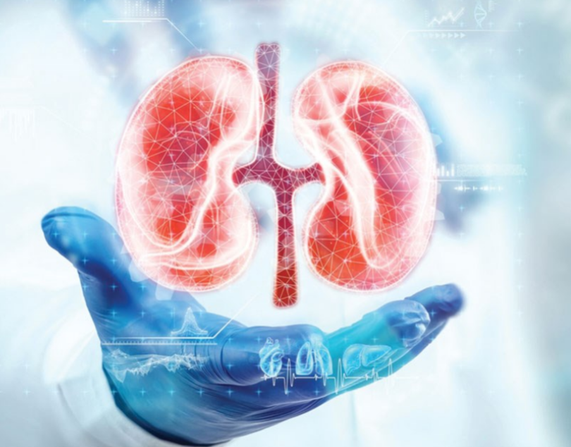 Organ bağışının zorunlu olmasına ne dersiniz?