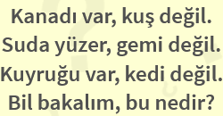 CEVAP NEDİR BİL BAKALIM