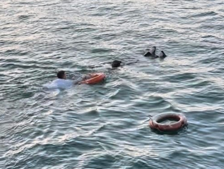 Denize düşse ilk kimi kurtarırsın?