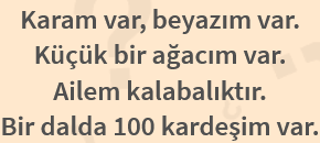 BİL BAKALIM