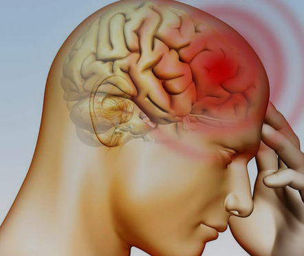 Hangi hayvanın beyni poposundadır?