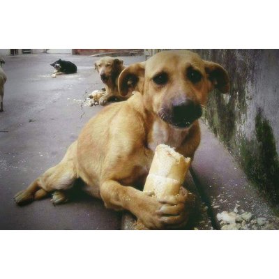 paralar borçlara gittiği için ben