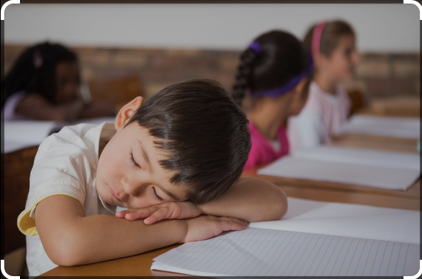 Hangi ülke, öğrencilerine okulda uyku molası (siesta) tanıyor?